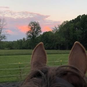 Meet your Posher, Avery